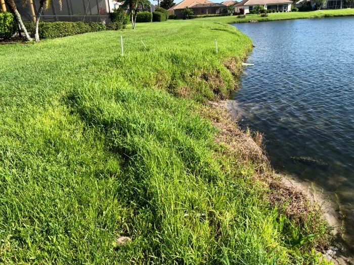 Erosion Control Tips: Drainage & Swales