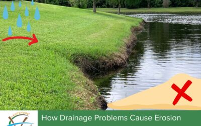 How Drainage Problems Cause Erosion—and What You Can Do About It
