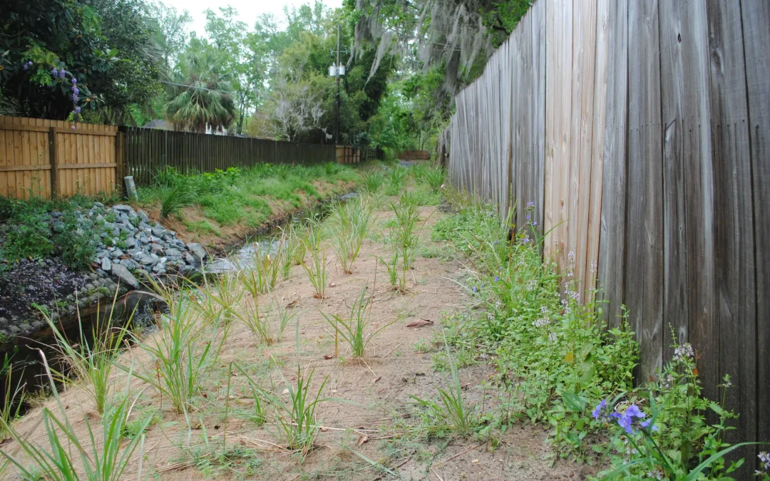 Gainesville Residential High-Water Velocity Ditch