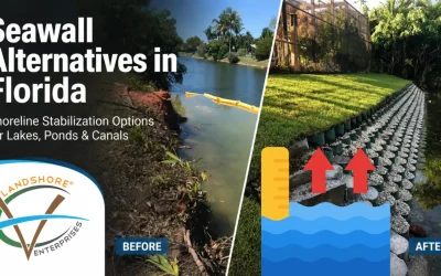 Seawall Alternatives in Florida: Shoreline Stabilization Options for Lakes, Ponds and Canals